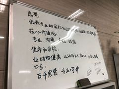 -北京观赏动物医院·24小时大型综合·猫专科·异宠专科