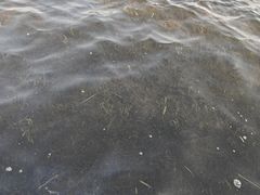 -成都市活水公园