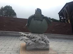 -广东惠东海龟国家级自然保护区