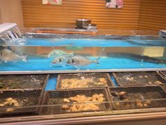 -盛宴自助餐厅(运达喜来登店)
