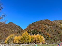 -狮子沟牧场
