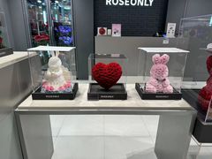 -ROSEONLY诺誓(国际广场购物中心店)
