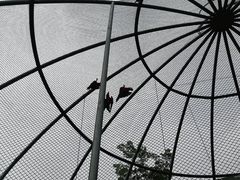 -合肥野生动物园