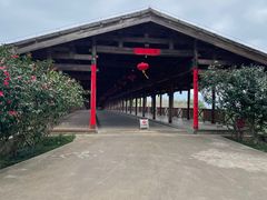 -福建鲤鱼洲酒店