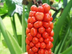 -茅庐·川粤精品私房菜(金沙遗址店)