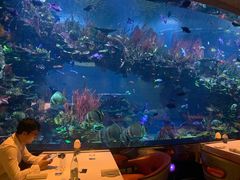 -迪拜帆船酒店海底餐厅