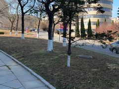 -大连外国语大学(旅顺校区)