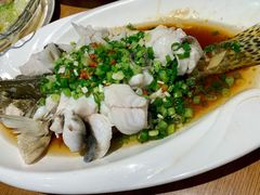 清蒸鳜鱼-周锦记广式餐厅