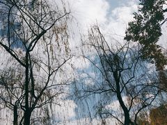 -翠湖公园
