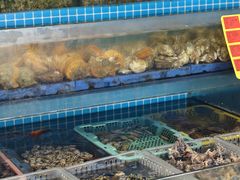 -坛南湾阿强农家乐.海鲜大排档老字号(福州地标美食店)