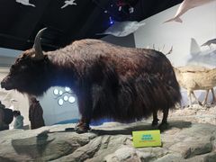 -中国湿地博物馆