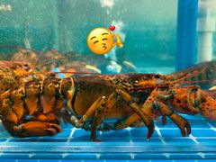 -蓝珊海鲜澳洲和牛自助餐厅