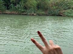 -白塔湖国家湿地公园
