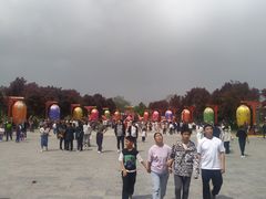-曹州牡丹园