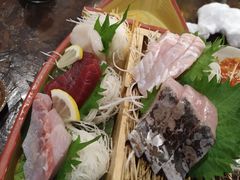 -鰓呼吸 石垣島 美崎町店