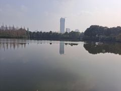 -成都南湖公园