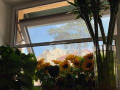 -杰克·肯特厨房西餐厅