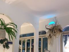 -春树下·树屋花房西餐厅(罍街AS1980店)