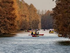 -上海海湾国家森林公园