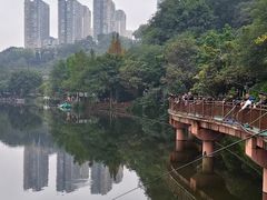 -重庆彩云湖湿地公园
