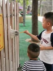 -萌宠亲子动物乐园(槐房万达店)