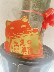 -幼泡泡连锁美容医疗