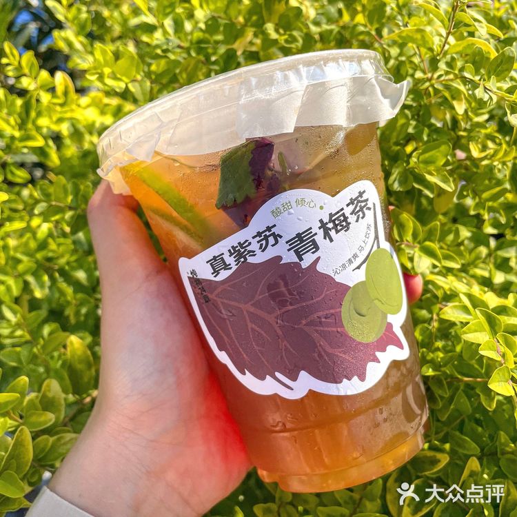 真紫苏青梅茶|秋天第一杯养身茶 