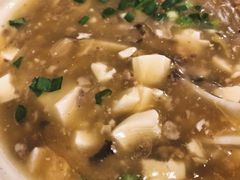 东阳沃豆腐-咬不得高祖生煎·简餐(赛银国际店)