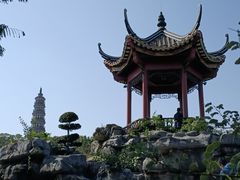 -顺峰山公园