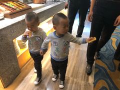 -常州环球恐龙城维景国际大酒店