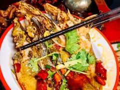 -烧哥美蛙肥肠鱼火锅·十五年社区店