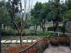 -九鼎轩脆毛肚火锅(商业街店)