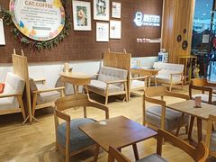 -藏猫猫咖啡主题馆(中央大道店)