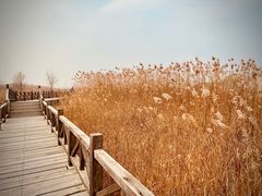 -野鸭湖国家湿地公园