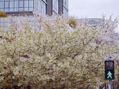 -苏州现代传媒广场商业