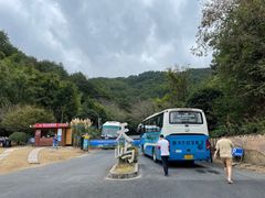 -千岛湖天屿景区