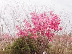 -云幽谷旅游区