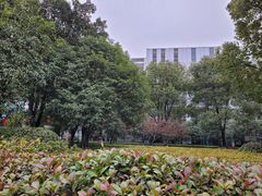 -杭州文化广播电视集团