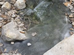 -黑龙潭风景区