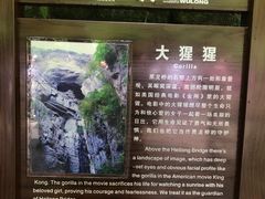 -武隆天坑地缝国家地质公园