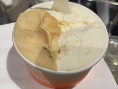 -Dip in Gelato(富民路店)