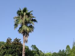 -宁波九龙湖开元度假村