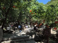 -天津盘山风景名胜区