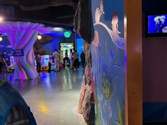 -烟台海昌鲸鲨海洋公园