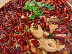 -皇朝会.经典传统粤菜(外滩店)