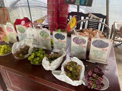 -马陆小张葡萄园农家乐