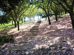 -大连植物园