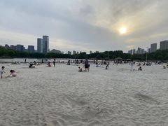 -滨湖塘西河公园