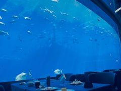 -瑞德姆美人鱼海底演艺主题餐厅(亚龙湾店)