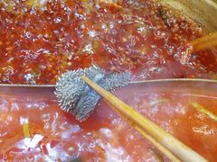 金牌毛肚-沸炉重庆老火锅(军事博物馆店)